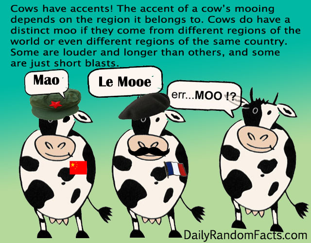 Cow-Facts